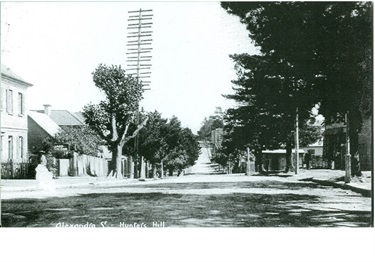 Looking west down Alexandra Street