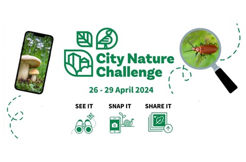 City nature challenge (1).jpg