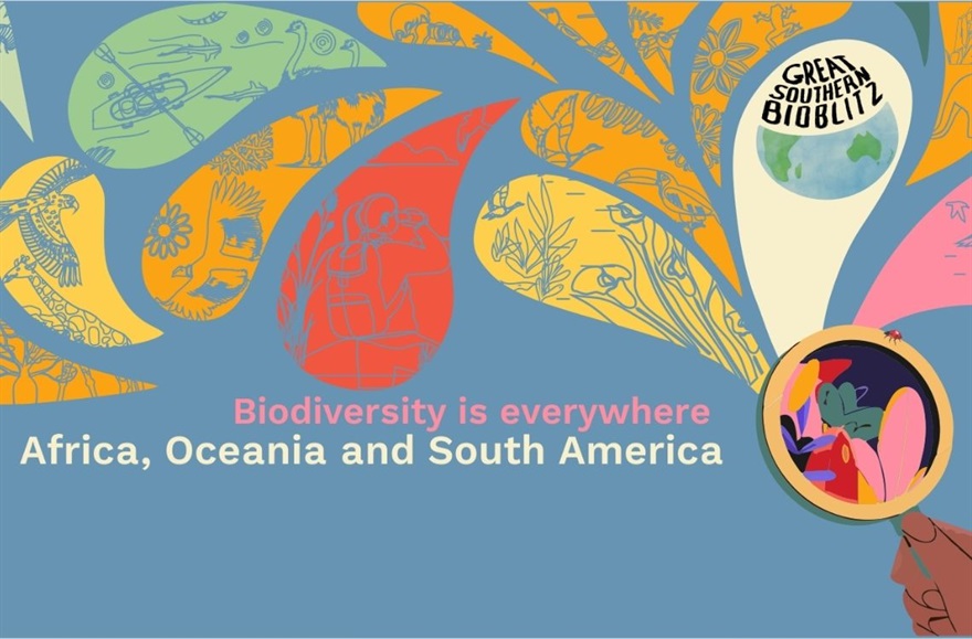 great southern bioblitz graphic.jpg
