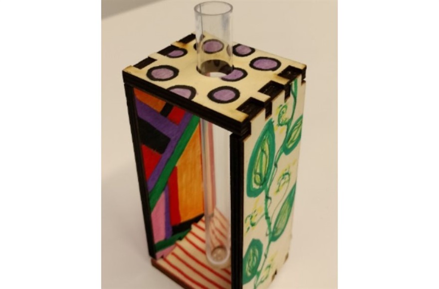 Test Tube Vase Craft Session.jpg