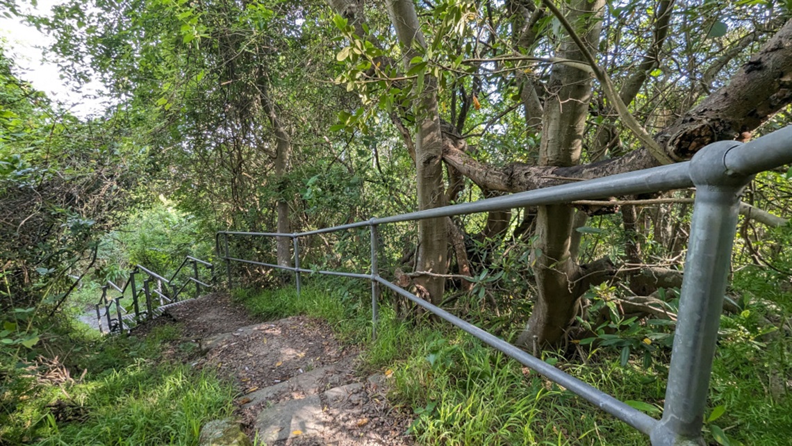 Bedlam Bay Bushwalk steps