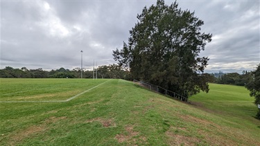 Boronia Park grassy area connecting ovals