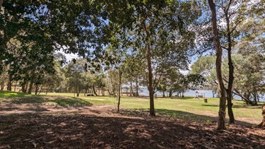 Photo shows the grounds of Clarkes Point Reserve as a wide angle whilst under the tree cover. There is leaf litter and shaded ground surrounding the foreground and the background shows the grass of the reserve bathed in sunliight. The water is visible behind the grass area