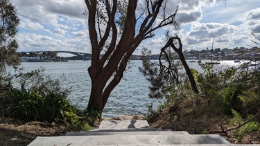 Photo shows the Parramatta River as the primary subject. The foreground of the middle of the frame contains a set of concrete steps which extend down to the water. In the mid ground, to the left of the the base of the steps, is a charming tree which has a slight lean to the right. Flanking either side of the pathway are ferns and bushscrub, with what appears to be a junior tree taking root on the right side. In the far background, towards the left side of the frame, across the other side of the river, is the Gladesville Bridge and apartments. To the right of the frame are Hunters Hill waterfront homes and sailing boats.