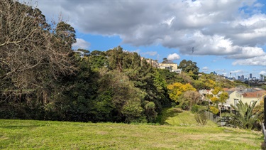 Photo shows a long shot of what Francis St Reserve looks like from it's most northern point.