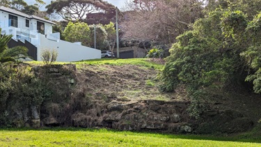 Rockface within Francis St Reserve, around several meters tall. Photo also shows the access point from Francis Street in the background.