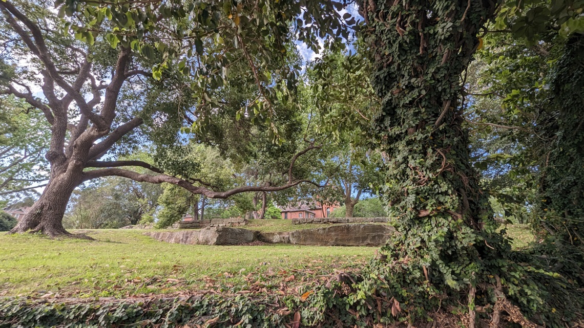 Gladesville Mental Hospital grounds 1