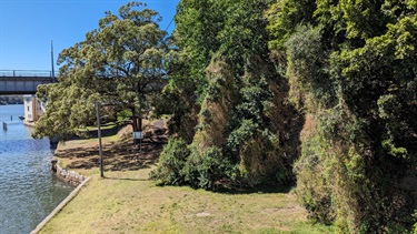 Photo is taken from a high angle, and shows the Lane Cove River running alongside Joubert St reserve. The sky is bright and entirely clear. The water occupies the left of the frame and appears to be calm and is reflecting lots of sunlight. The centre of the frame features the grass area that is nested between the water and the tree thicket. The right of the frame is of the very dense treeline. The background barely shows the Figtree Bridge.