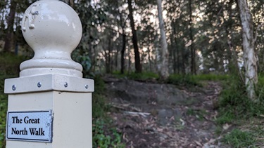 Photo shows one of the entrances to the Great North walk. To the left of the frame is a close up shot of the Great North Walk signpost. To the middle/right of frame is dense bushland.