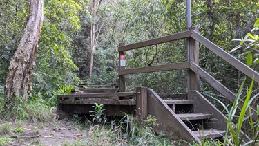 Photo shows some wooden steps that make up part of the Great North Walk. There are 4-5 steps + a few other smaller step up sections. To the left of frame is very dense bushland and to the right of frame (behind the steps) is more dense bushland.