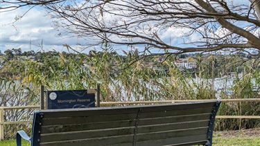 Photo shows a park bench (from behind) in the foreground. In the middle ground is the sign that denotes the reserve name. The background shows the Lane Cove River but is obscured by vegetation. There is a tree leaning in from the right hand side of the frame.