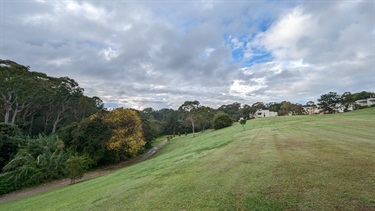 Photo shows view from on top of a grassy hill with a moderate incline. On the right hand side of frame are some dwellings in the far background, and on the left hand side, at the base of the hill, is pathway that leads further into Riverglade. The pathway is flanked by heavy tree/mangrove coverage.