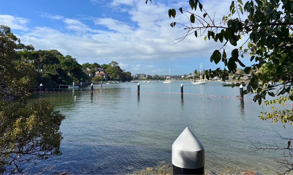 Bedlam Bay_Website tile.jpg