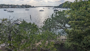 Photo is from a top down perspective, there are tree canopys directly in the foreground and right of frame. Above the trees is the water, which is calm and has many sailing boats. The Henley baths platform is barely observable through the canopy. Far background contains apartments.