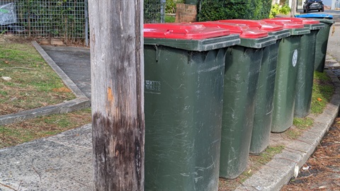 Bins presented for collection too close together.jpg