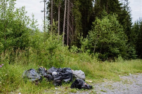 waste dumped in black bags in bush