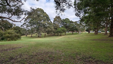 Boronia Park North, showing a very large grassy area, shaded by numerous trees. Park Road visible in the background.