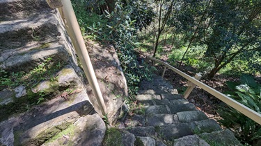 Further illustration of the stone step climbing path, leading down into the thicket of the reserve