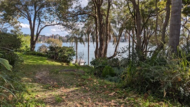 Photo is of a well shaded area with lush grass and plants. To the right of frame is heavy vegetation, to the left of frame is the grass, and towards the centre and extending across the background line is the water, which appears calm, with apartments situated on the other shoreline.