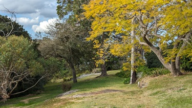 Photo shows an area of grass that is well shaded by four trees. There are some large boulders that are only just presenting above the ground. The photo shows the way deeper into the reserve.