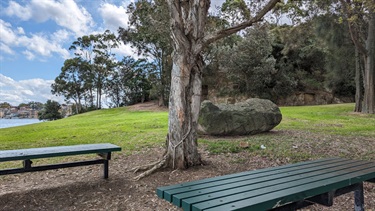 Photo shows the benches situated within Pulpit Point Reserve. Shaded by trees and situated adjacent to a boulder. The rockface can be seen in the background (right of frame), as well as a small amount of water (left of frame).