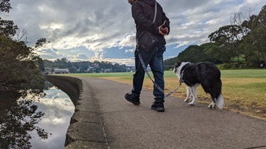 Photo is shot from a low angle, it shows a gentlemen taking his border collie for a walk along the footpath that flanks the Tarban Creek. The water is very still, so the clouds and the adjacent mangrove trees can be seen reflecting on the surface. The sky is heavily overcast with a beautiful amount of sunlight playing on their surface in the far background. The man and his dog are walking side by side (man on the left, dog on the right), both walking away from the camera.