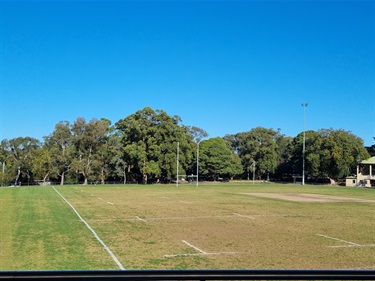 Boronia Park Oval 1 (Cricket Pitch - Turf Wicket)